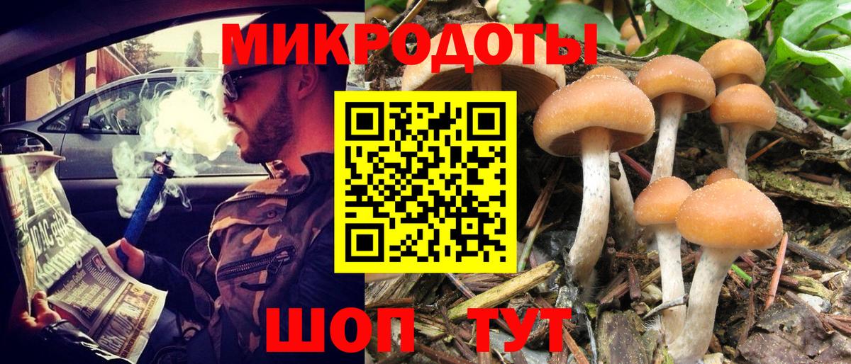 Галлюциногенные грибы прущие грибы  купить наркотик  Ипатово  Вход с VPN 
