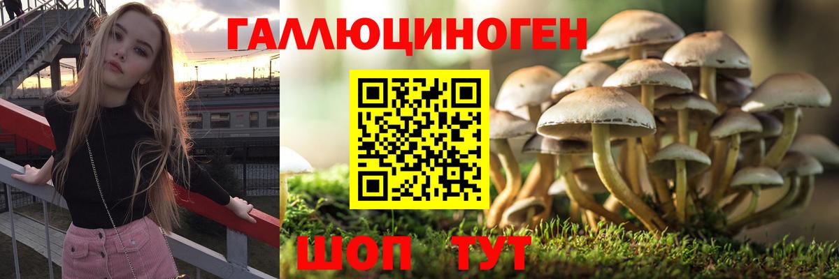 Галлюциногенные грибы Cubensis Ипатово